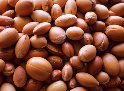 Ingredient image