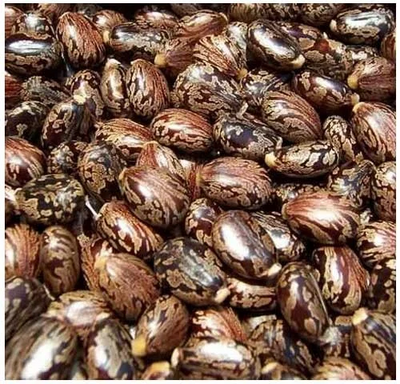 Ingredient image