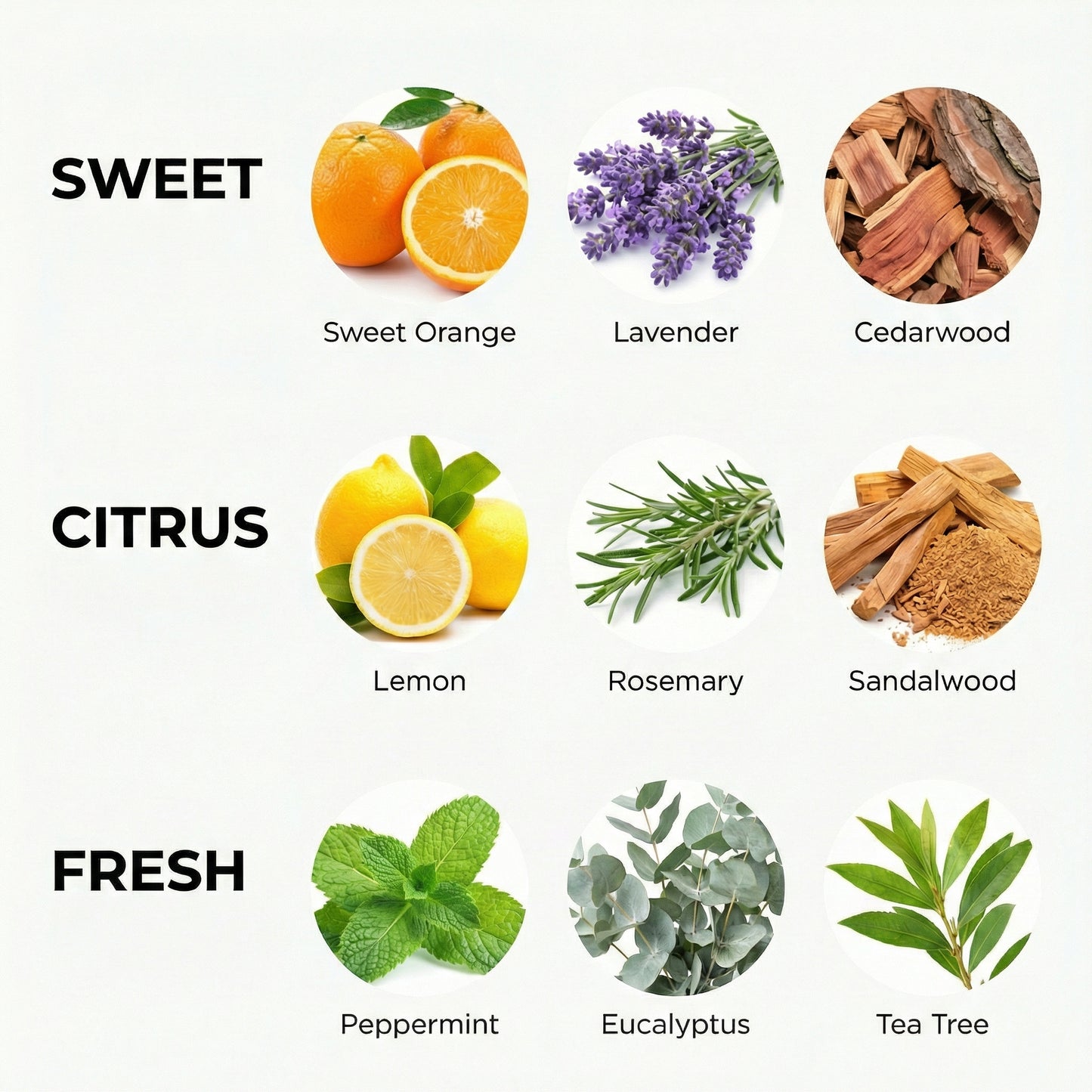 Routine - Maintenance Kit