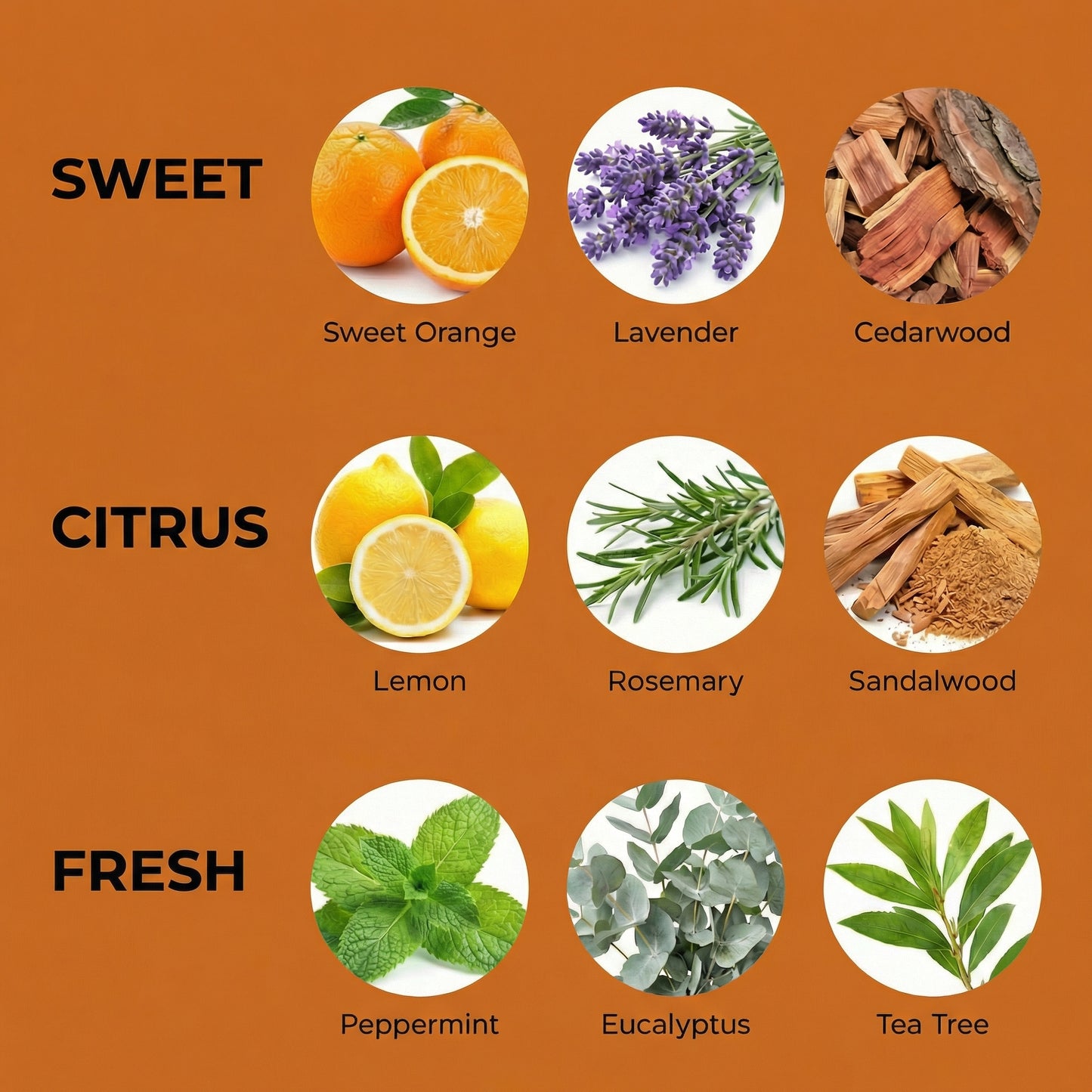 Illustration of various scents with corresponding images on an orange background