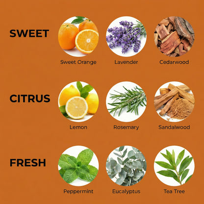 Illustration of various scents with corresponding images on an orange background